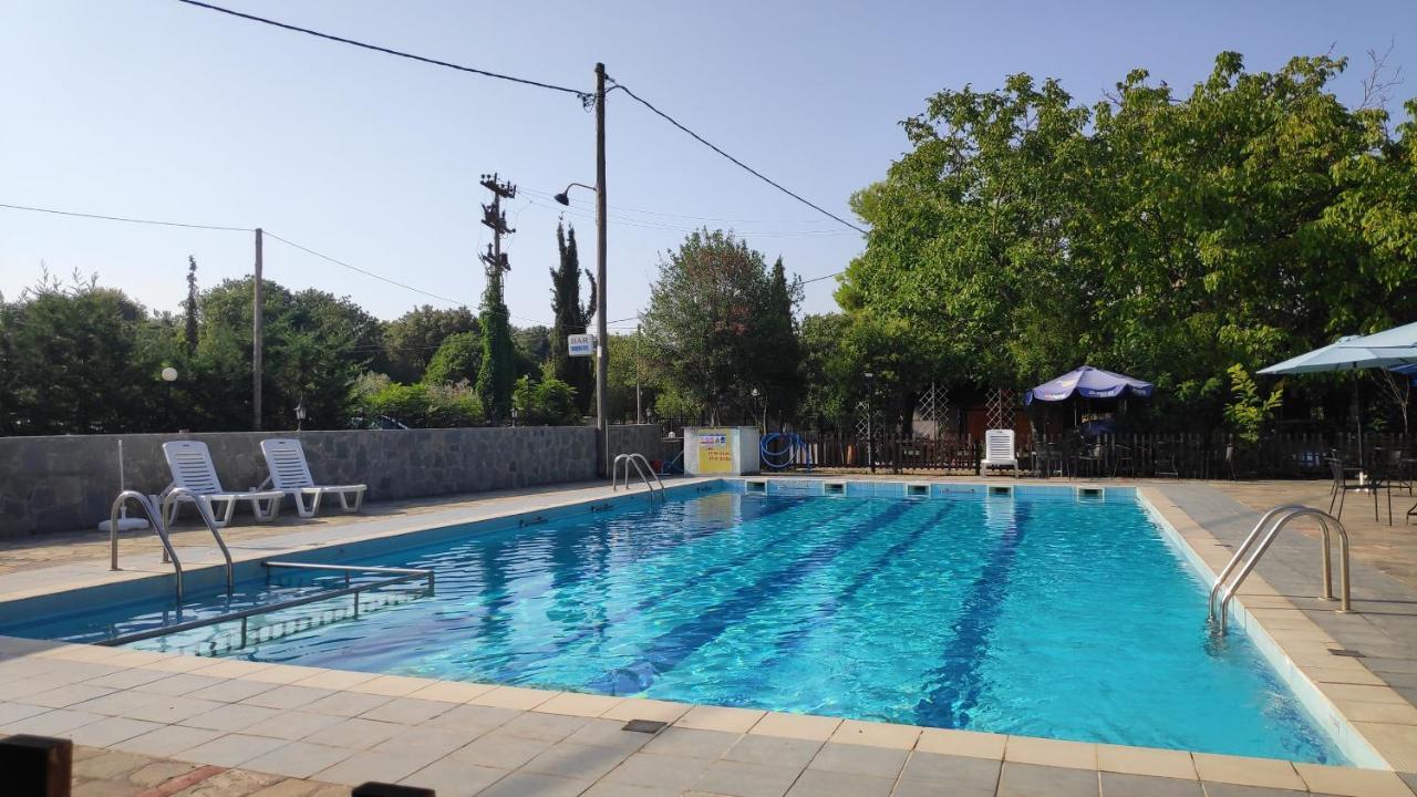 Camping Mitikas And Bungalows Плака-Літохоро Екстер'єр фото
